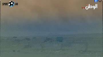 عاصفة ترابية تضرب محافظات الصعيد والأرصاد تكشف مستوى خطورتها